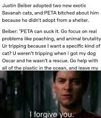 Reddit The Front Page Of The Internet Memes Sarcastic Sarcastic Guy Epic Fails Funny