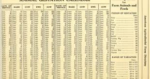 Gestation Period Pig Gestation Gestation Period Sheep Pig