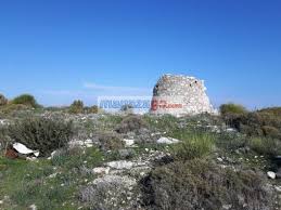 Mor Cicek Emlak Mordogan Koyunde 5 Tarim Imarli Tarla Emlak Arsa Satilik Mor Cicekler Mor Cicek