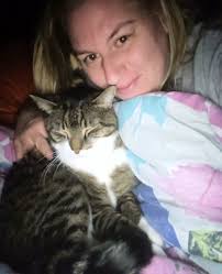 My cat always love to stay