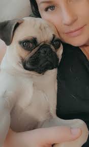 St. George, Utah Lost And Found Pets