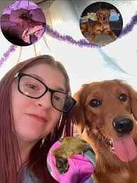 Golden Retriever owners sharing their love for their pets