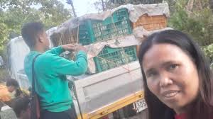 Nangita ko ug darag native chicken RTL n Roo