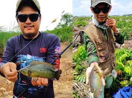 Dalam kacamata dunia, ikan juga merupakan salah satu hewan yang digemari di kalangan pecinta kuliner. Puyu Monster Bandar Diraja Klang