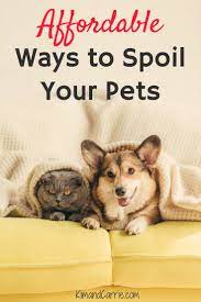 17 Best Products To Spoil Your Dog Or Cat Pet Owners Pets Spoiled Pets