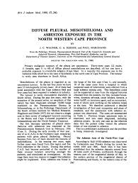 /causdis/mesothelioma/mesothelioma.pdf accessed 24 oct 2020. Diffuse Pleural Mesothelioma And Asbestos Exposure In The North Western Cape Province Abstract Europe Pmc