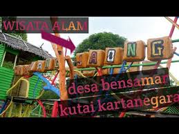 Maybe you would like to learn more about one of these? Taman Wisata Kembang Jaong Di Desa Bensamar Kutai Kartanegara Youtube