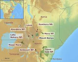 Discover the best of naivasha so you can plan i booked one night, 1 double room, 1 single room and paid through expedia for lake naivasha resort. Lake Nakuru Kenia Informationen Kenia Reisen Abendsonne Afrika