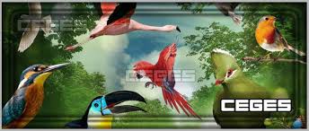 من سمع في منامه صوت صراخ قطة فهذا دليل على مقابلة صديق ماكر يحمل له الضغينة ويظهر عكس ما يبطن للشخص صاحب المنام اما من رأى قط اسود جائع وذو مظهر غير جيد فهذا دليل على سماع أخبار غير سارة. ØªÙØ³ÙŠØ± Ø±Ø¤ÙŠØ© Ø­Ù„Ù… Ø§Ù„Ø·ÙŠÙˆØ± ÙÙŠ Ø§Ù„Ù…Ù†Ø§Ù…