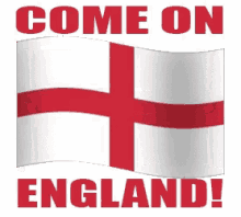 These flags have been approved by unicode. England Rugby Emoji