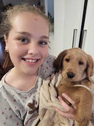 Ellarnie Labradoodles