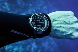 Image result for diving watch