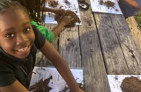 2024 Annual Report Warner Park Nature Center