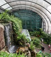A refreshing green space, the garden has an impressive collection of about 1000. Butterfly Garden Singapur Aktuelle 2021 Lohnt Es Sich Mit Fotos Tripadvisor
