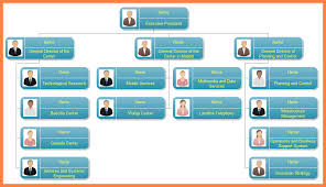 Company Organization Chart Template Guatemalago