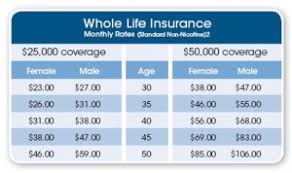 Compare Life Insurance Quotes 04 Quotesbae