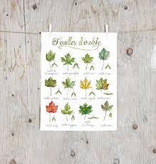 Imprime Feuilles D Erable Poster Planche Botanique Etsy Autumn Leaves Prints Botanical Painting Tree Painting