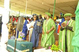 FCEEHAMUFU Academic Staff