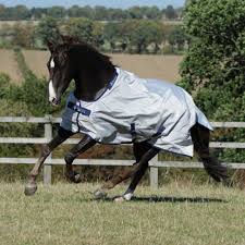 Bucas Sun Shower Sheet Ridingright Com