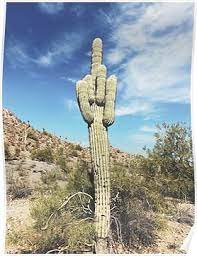 Check spelling or type a new query. Pin On Quick Saves