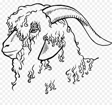 Black And White Goat Images Clip Art Angora Goat Drawing Angora Wool Mohair Clip Art Others Png Download 2400 2204 Free Transparent Angora Goat Png Downl Angora Goats Coloring Books Drawings
