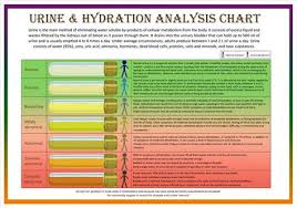 Set Of Two Bristol Stool Scale Urine Hydration Analysis