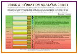 set of two bristol stool scale urine hydration analysis