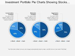 Investment Portfolio Pie Charts Showing Stocks Bonds Cash