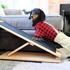 Smaller, elderly or disabled dogs, however, may not be able to jump or out of a bed and can injure itself in an attempt to. 15 Free Diy Dog Ramp Plans For Bed Car Couch Stairs