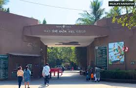 Sanjay Gandhi National Park - Flora ...