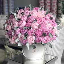 We are your los angeles & beverly hills premier florist. Extravagant Peony Box Flower Delivery In Los Angeles