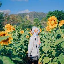 Restaurants flights shopping vacation packages cruises rental cars. 22 Top Things To Do In Perlis For Your Next Vacay Dahcuti Blog