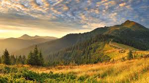 Maybe you would like to learn more about one of these? Premium Hottest Cosplayer Beautiful Nature Wallpaper 1920x1080