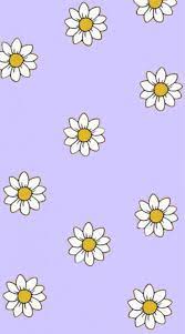 Maybe you would like to learn more about one of these? Daisy Wallpaper Purple Wallpaper Iphone Pink Wallpaper Backgrounds Daisy Wallpaper