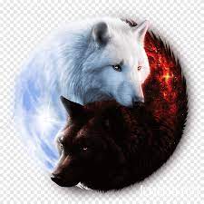 Wolves are often depicted as formidable creatures throughout many references in movies, television programs, and even books. Two Black And White Wolves Illustration Gray Wolf Hoodie T Shirt Yin And Yang Clothing Wolf Animals Hat Png Pngegg
