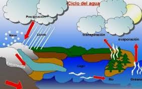 El ciclo hidrológico o ciclo del agua es el proceso de circulación del agua entre los distintos compartimentos que forman la hidrósfera. Que Es Ciclo Del Agua Su Definicion Y Significado 2021