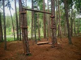 Secara bahasa, kata sholat berasal dari bahasa arab yang memiliki arti doa. 3 Tarikan Utama Di Terap Pine Forest Kulim Kedah Blog Sihatimerahjambu