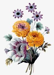 hand painted flowers hand painted plants plant design png transparent clipart image and psd file for free download flower painting flower art watercolor flowers flower art watercolor flowers
