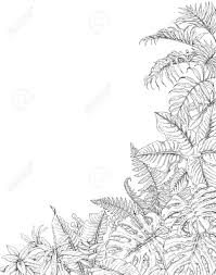 Coloring pages are no longer just for children. Hand Drawn Branches And Leaves Of Tropical Plants Corner Background Royalty Free Cliparts Vectors And Stock Illustration Image 73309007