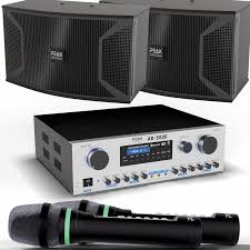PEAK Karaoke PLATINUM PREMIUM PRESTIGE STAGE III System -4000W – Peak  Karaoke