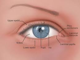 Or it might be a reaction that occurs after a viral infection. Bells Palsy South Bay Ophthalmology