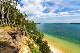 People have been enjoying the experience of a cruise aboard poole's famous yellow boats for over 100 years. Brownsea Island Resort Dorset