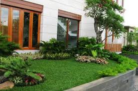 Tanaman ini sangat mudah dalam perawatannya karena anda. Tips Menata Tanaman Teras Rumah Idea