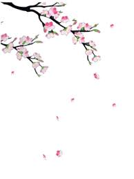 Dian Yang Tak Kunjung Padam Aneka Animasi Bunga Sakura Bergerak Subhanallah Cantiknya Bunga Sakura Bunga Lukisan Bunga