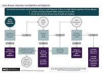 overview lyme disease guidance nice