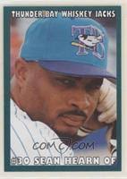 Sean Hearn Baseball Cards