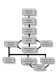 Oasis Organizational Structure