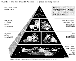 To maintain a healthy body image, adults should focus on a healthy lifestyle by exercising. Guidelines For School Health Programs To Promote Lifelong Healthy Eating