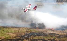 The strata corporation is also responsible for dealing with. Important Bills Enacted Into Laws This Year