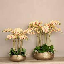 Pin On Bouquet De Flores
